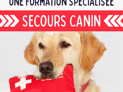 FORMEZ VOUS AU SECOURISME CANIN
